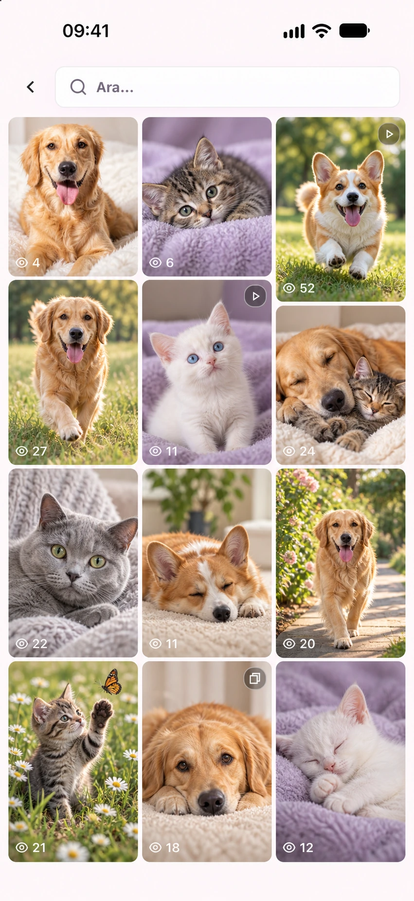 Pavlav — Pet fotoğraflarını keşfet