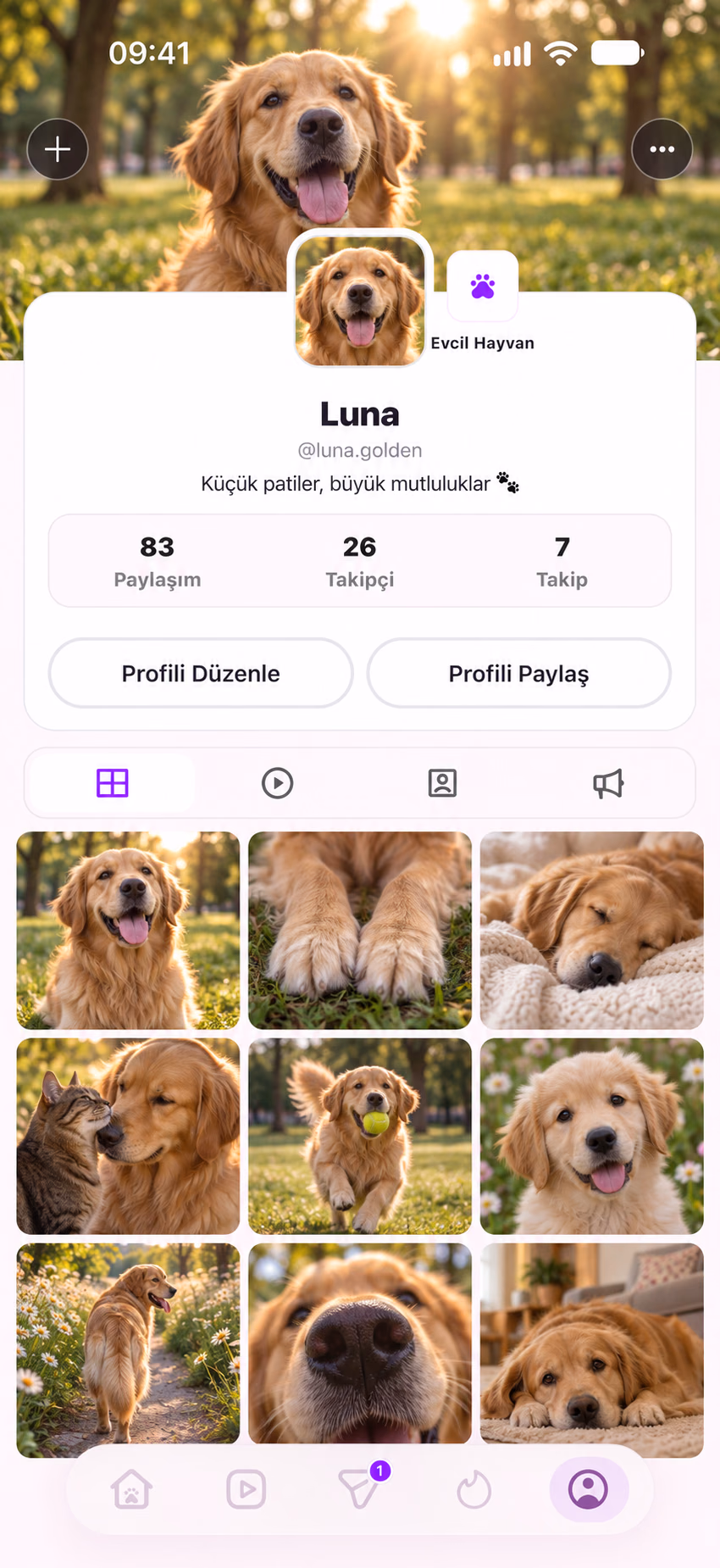 Pavlav profil ekranında Luna’nın pet fotoğrafları ve takipçi bilgileri